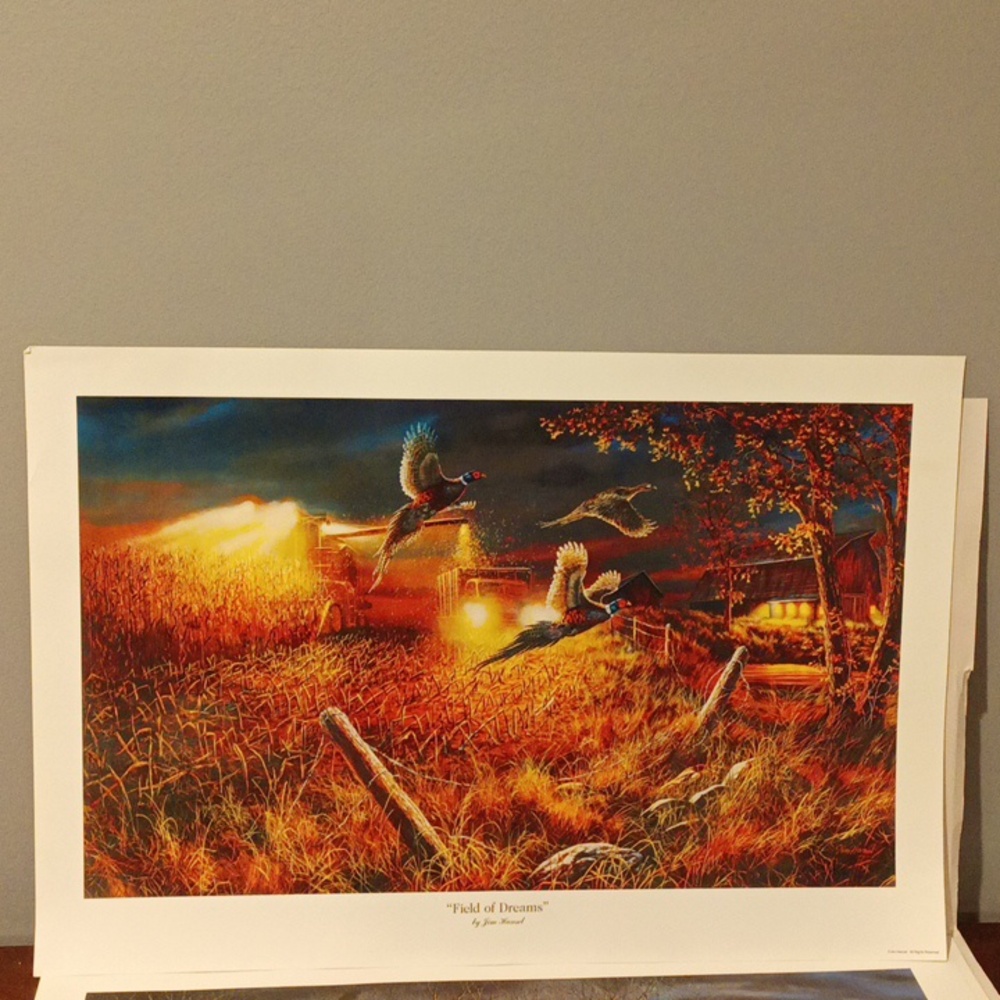 Jim Hansel Wildlife Collection Prints 4 prints total. - Picture 5 of 8